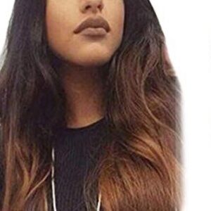 Peruvian ombré human hair lace wig